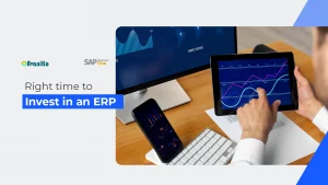 Right time to Invest in an ERP-Avaniko