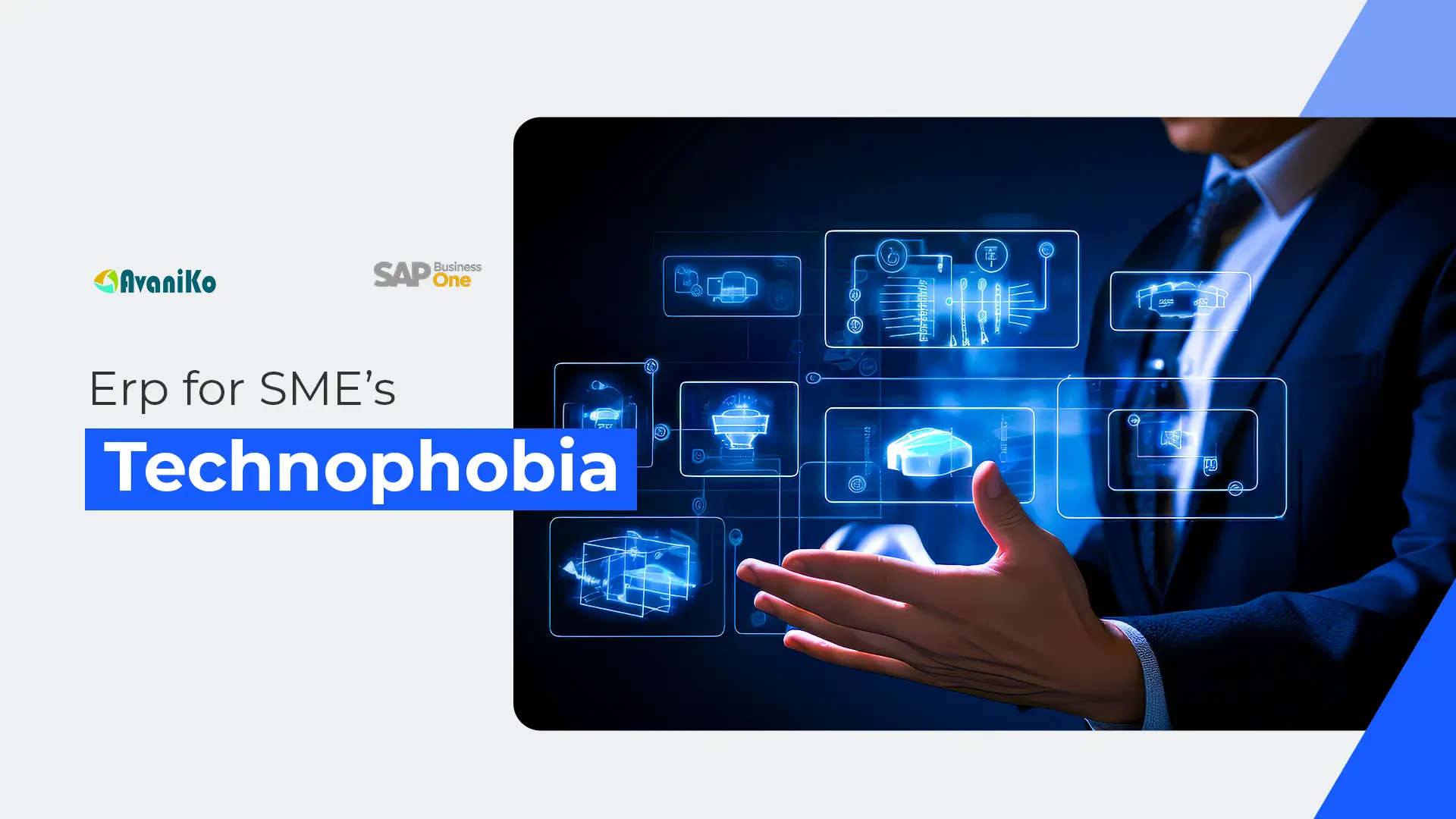 Erp for SME’s – Technophobia