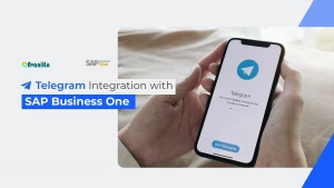 Telegram Integration with SAP Business One-Avaniko