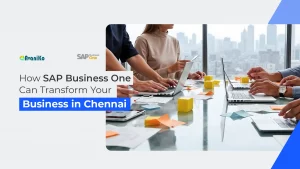 SAP Business One in Chennai-avaniko