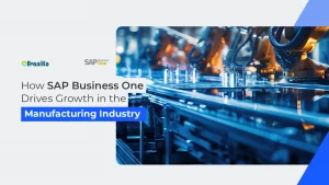 SAP Business One for Manufacturing Industry in Chennai