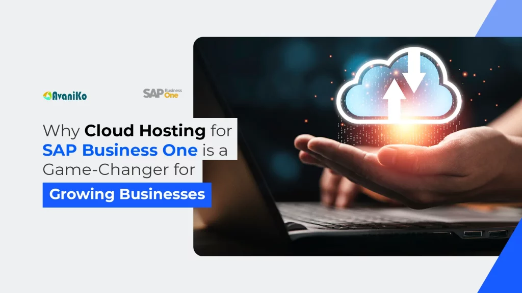 Why Cloud Hosting for SAP Business One is a Game-Changer for Growing Businesses-Avaniko